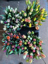 tulips, tulip bouquet, Mothers Day, Mother's Day, Mother's Day Bouquet, Bouquet, flower bouquet, Nova Scotia flowers, Nova Scotia flower farm, flower farm, locally grown, locally grown flowers, local flowers, sustainably grown, no-spray, no-spray flowers, Port Williams, Annapolis Valley, Valentine, Valentines Day, Valentines present