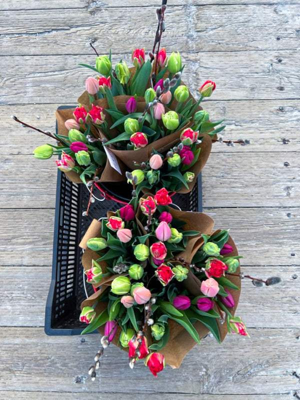 A dozen, mixed, beautiful, specialty tulips. Wrapped in our signature black wrap with care guide.   Bouquets will be a combination of colors and tulip styles, for example: single, doubles, parrot, fringe and lily-style. Cominations change from week-to-week depending on what is best in season.  All grown on our no-spray farm here in the beautiful Annapolis Valley.  