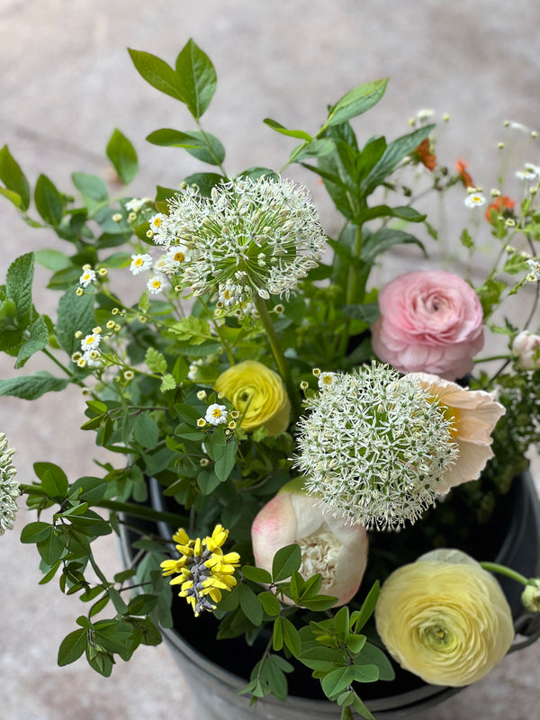 Classic, classic bouquet,market bouquet, seasonal, in season, in season flowers, flowers, flower bouquet, Halifax flowers, Wolfville flowers, market bouquet, flower arrangement, local, local flowers, organic, no-spray, all local, Nova Scotia, Annapolis Valley, Port Williams, Little Flora Gem, local flowers, local farm, farmer, floral, flower, Grande, Large bouquet