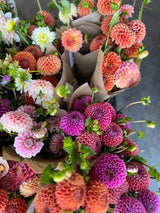 dahlia, dahlia bouquet, local flowers, local dahlias, in season flowers, no-spray flowers, family farm, beautiful, Annapolis Valley, Nova Scotia, Nova Scotia grown, local, gift, bouquet.