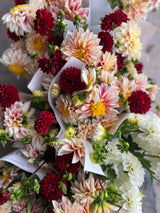 dahlia, dahlia bouquet, local flowers, local dahlias, in season flowers, no-spray flowers, family farm, beautiful, Annapolis Valley, Nova Scotia, Nova Scotia grown, local, gift, bouquet.