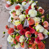 dahlia, dahlia bouquet, local flowers, local dahlias, in season flowers, no-spray flowers, family farm, beautiful, Annapolis Valley, Nova Scotia, Nova Scotia grown, local, gift, bouquet.