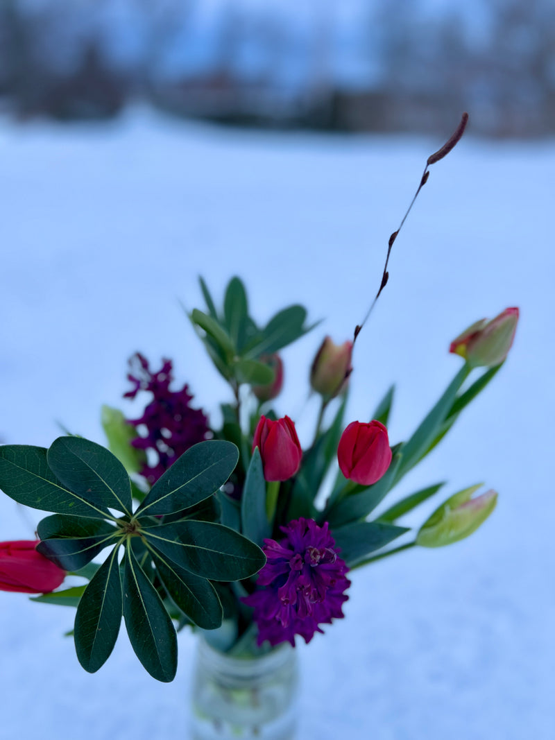 spring, spring flowers, spring flower bouquet, bouquet, special bouquet, local bouquet, grown in Nova Scotia, Nova Scotia flowers, Nova Scotia, Canadian grown, Annapolis Valley flowers, 