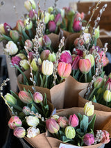 Tulip, mixed bouquet, bouquet, tulips, beautiful, specialty tulips. Wrapped,  signature black wrap, with care guide.   Bouquets will be a combination of colors and tulip styles, for example: single, doubles, parrot, fringe and lily-style. Cominations change from week-to-week depending on what is best in season.  All grown on our ,no-spray farm, beautiful , Annapolis Valley, Port Williams  